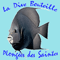 La Dive Bouteille : Club de plongée